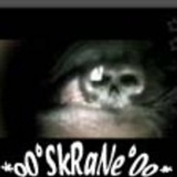 Mr_Skrane