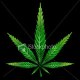 Batista_97221