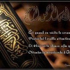 Said Amrani