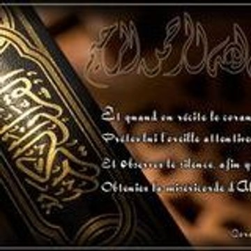 Said Amrani
