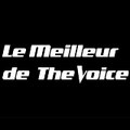 The Voice & Co
