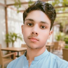 shehroz Mughal vilog