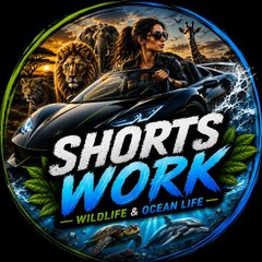 Shorts Work
