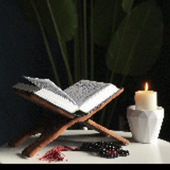 Roshni.e.Islam