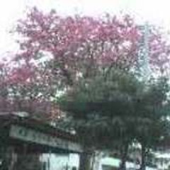 minamiya