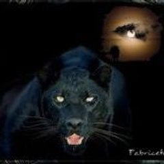 halim