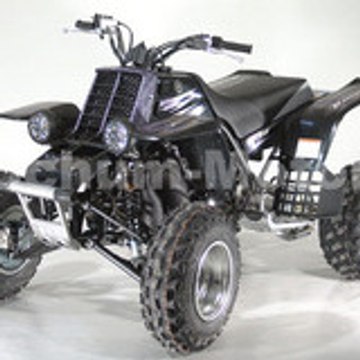 HAITIBANSHEE