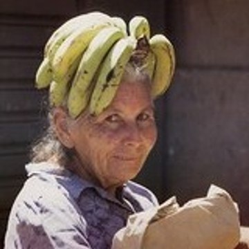 dieulibol