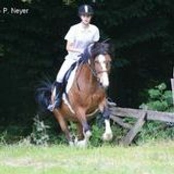 mimi-cavaliere