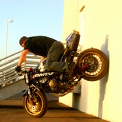 trotirider_O)     ^^