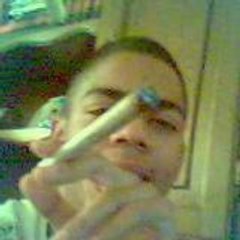 oddoz