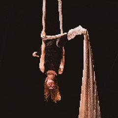 elise Peyrefitte