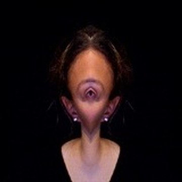 Lizwinge