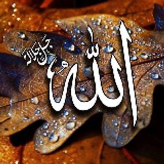 نورِہدایت