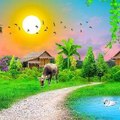 wasim242