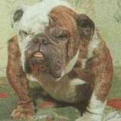 Pitty_Pablo