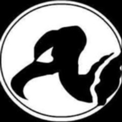 Bui-3 cumbieros