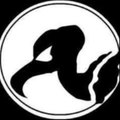 Bui-3 cumbieros