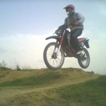 dalton31