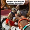 Spécialiste du retour affectif rapide