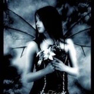Le-voleur-fou
