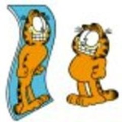 maow38