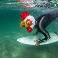 tinmarfreestyle