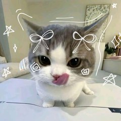 MarilynXdd