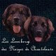 Chantelouve