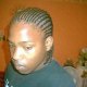 cbarrus wilfried