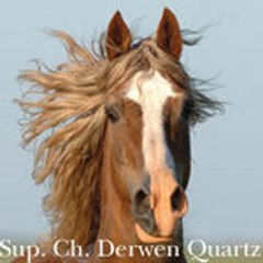 crazyhorsedu95