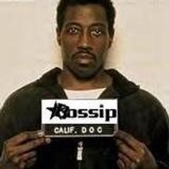 bossipfake