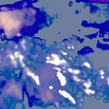 Aquatoscene research & Discovery unit