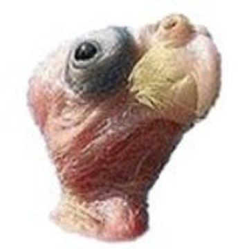 labuze69