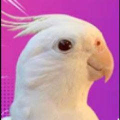 glexlog52 backup
