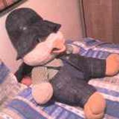 albert77340