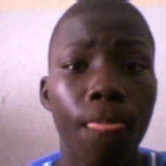 cheikh niang