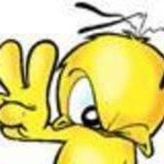 xben19