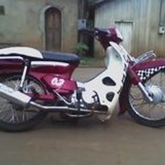 phelip parma neto