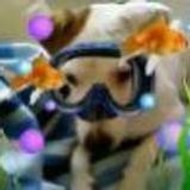 Frédérique Trackoen