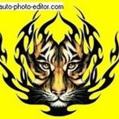 fataltigers