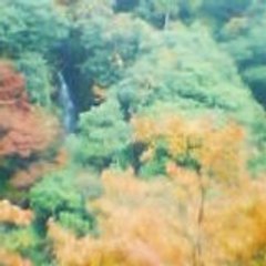 sakan-wukan