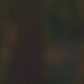 My Channel