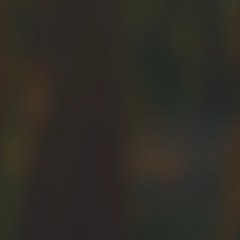 My Channel