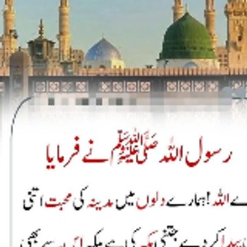 Shafqat Ali