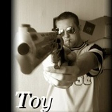 toy