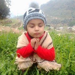 Fazal Hadi