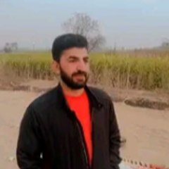 hashir jutt