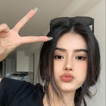 funny videos
