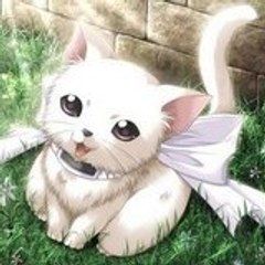 Mokona__chan